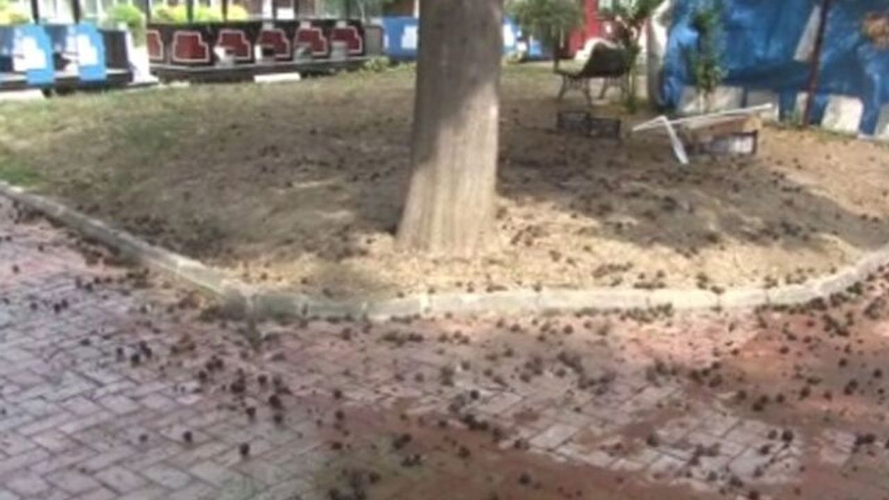 İstanbul'da bir vatandaş yağmurdan kaçarken yıldırıma yakalanıp öldü!
