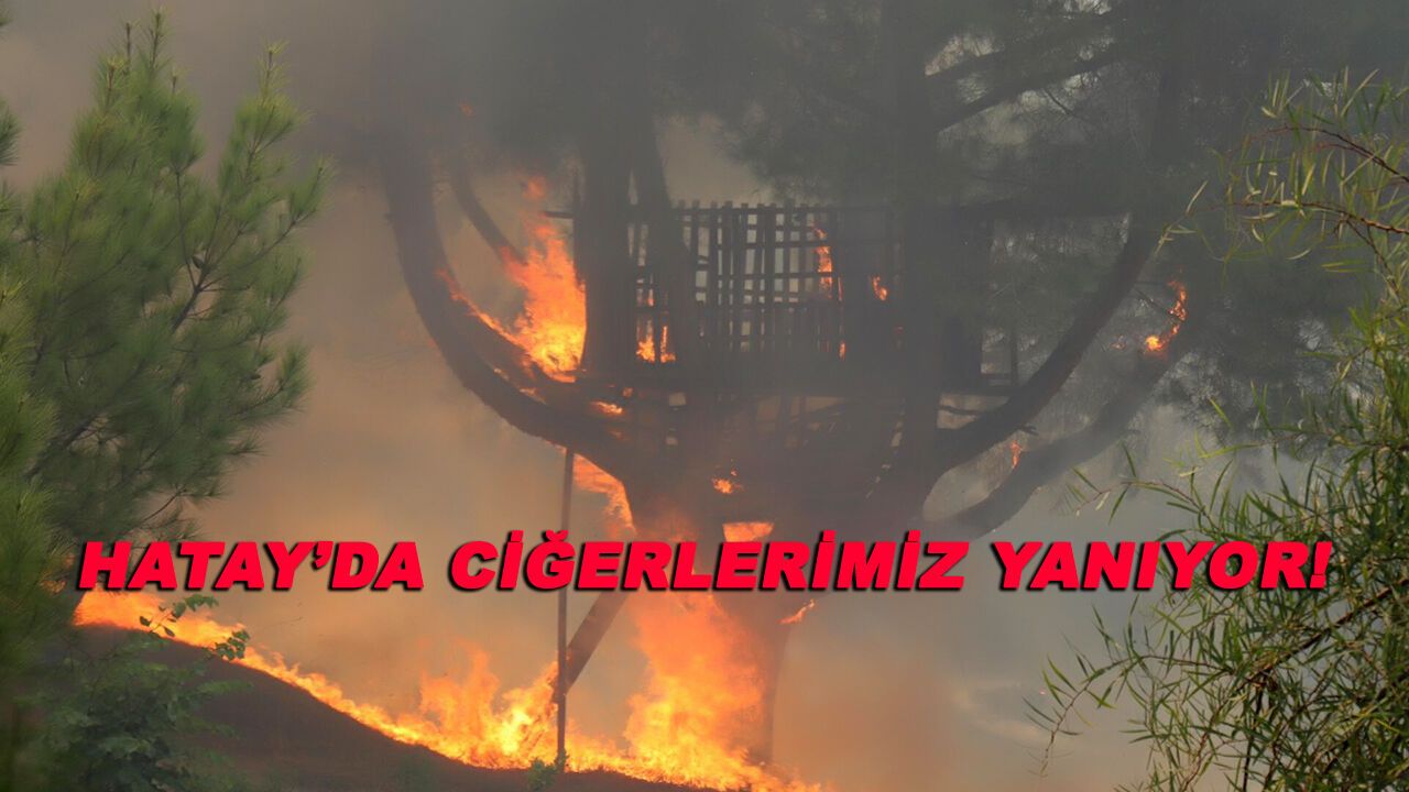 Hatay'daki yangın yerleşim yerlerine sıçradı! İşte son durum...