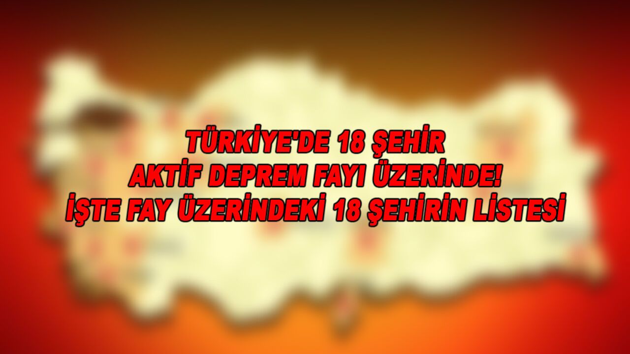 Türkiye'de 18 şehir aktif deprem fayı üzerinde! İşte o şehirlerin listesi...