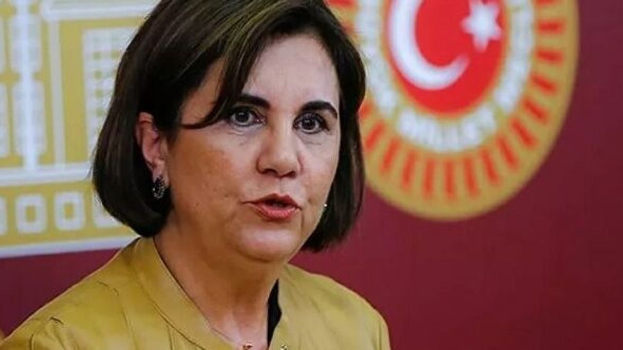 Prof. Dr. Gaye Usluer CHP'den istifa etti
