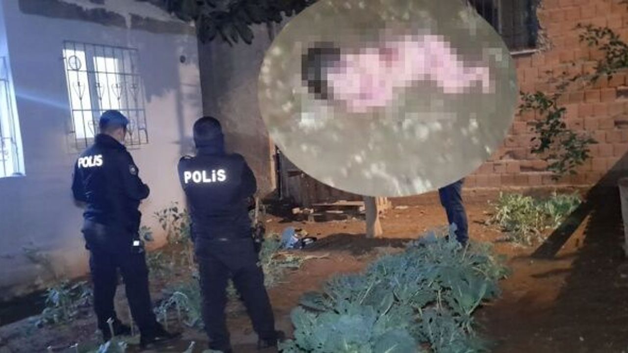 İstanbul Bağcılar'da yeni doğmuş bebeği sokağa bıraktılar!
