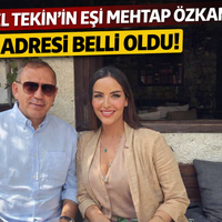Magazin