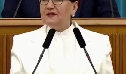 Meral Akşener'den kereste benzetmesi!