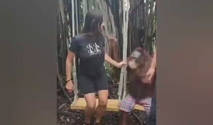 Orangutan'ın turist kadına yaptıkları 30 milyona yakın izlendi
