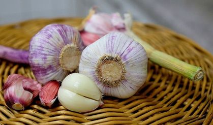 Sarımsak yutarsanız vücudunuzda bakın neler oluyor?
