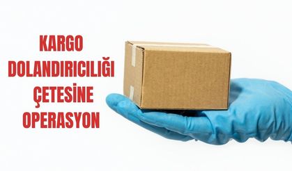 Kargo çetesine operasyon düzenlendi