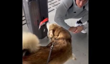 Fenerbahçe kalecisi Livakovic’in köpeğiyle buluştuğu an
