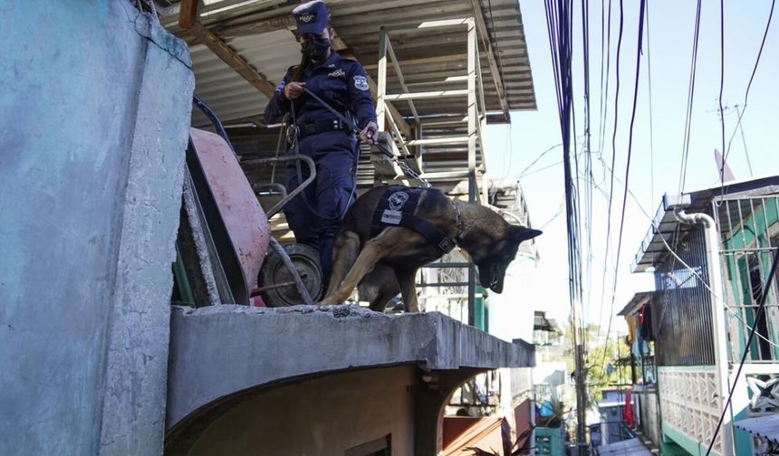 Uyuşturucu çetelerinin korkulu rüyası! "Dedektör Köpekler"
