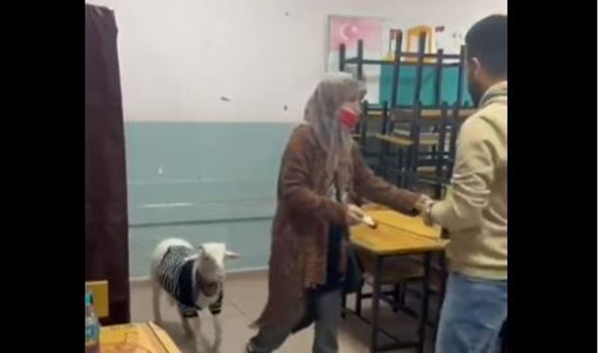 Oy kullanmaya kuzusu ile geldi!