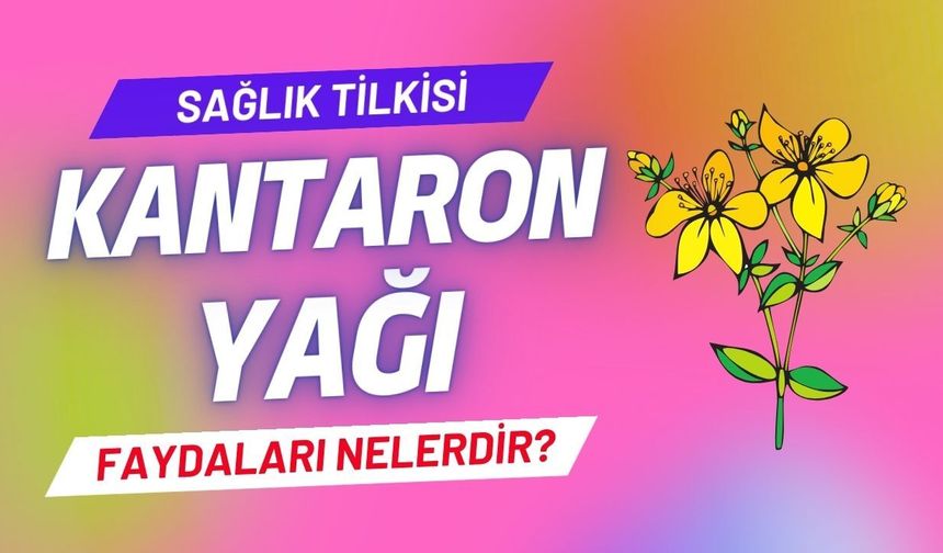 Kantaron Yağının Faydaları Nelerdir?