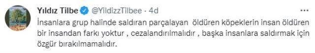 yildiz-tilbe-den-tepki-cekecek-cikis-saldirgan-14791716_1067_m