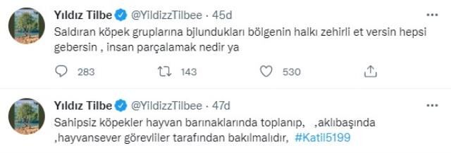 yildiz-tilbe-den-tepki-cekecek-cikis-saldirgan-14791716_4668_m