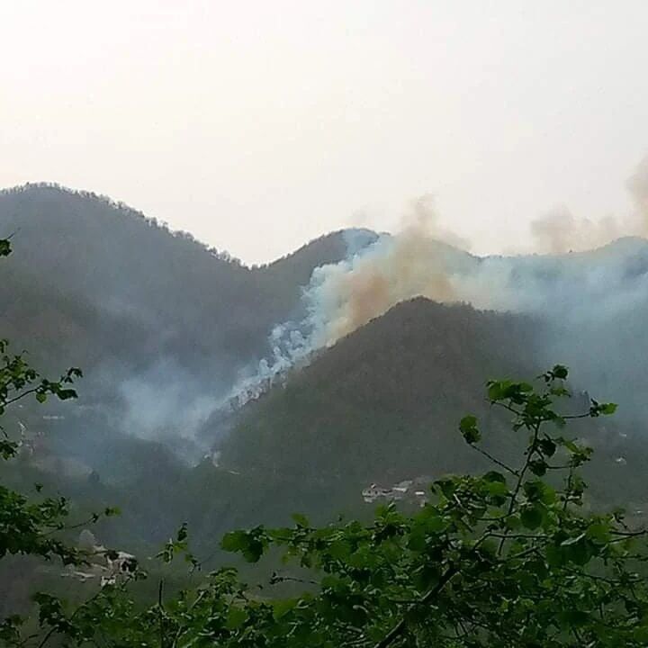 giresun fırtına yangın 3