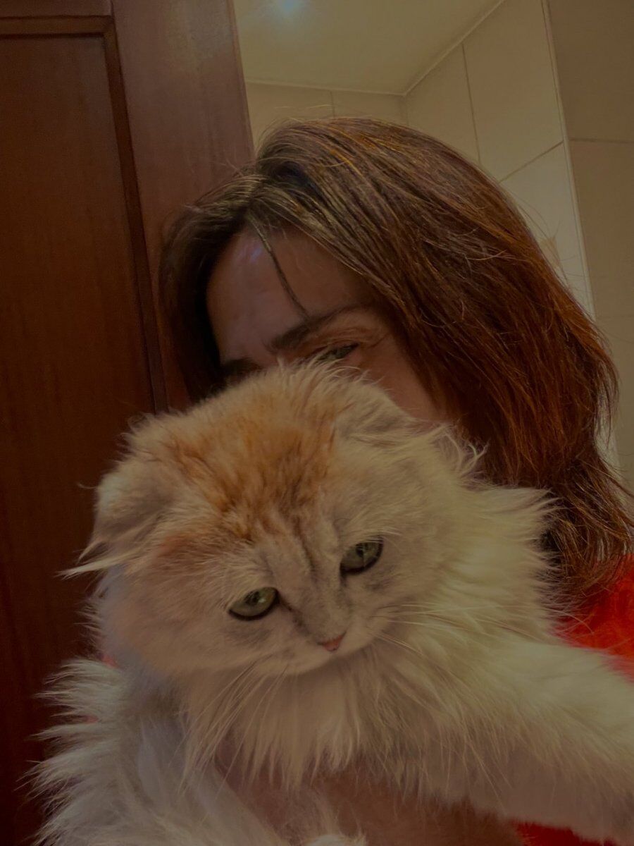 Yıldız Tilbe Kedi 3