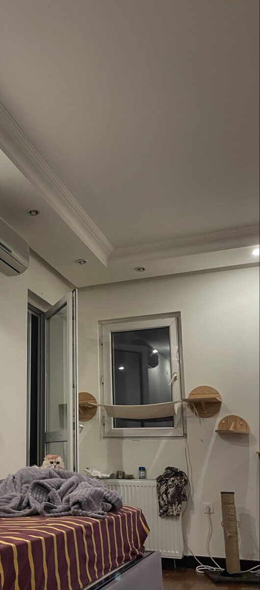 Yıldız Tilbe Kedi 4