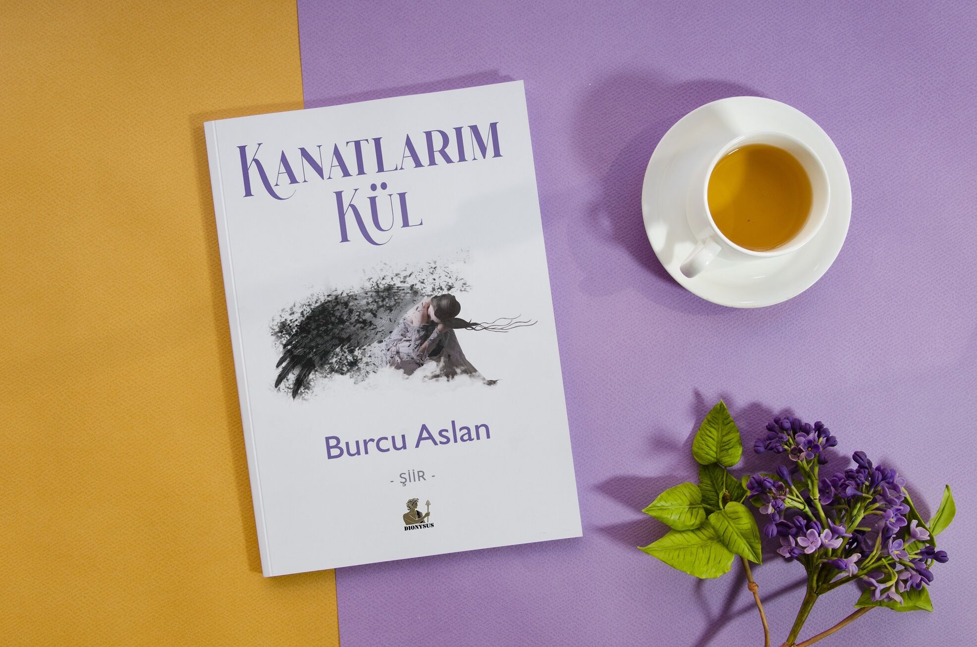 kanatlarım kül_Kapak