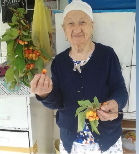 hanife