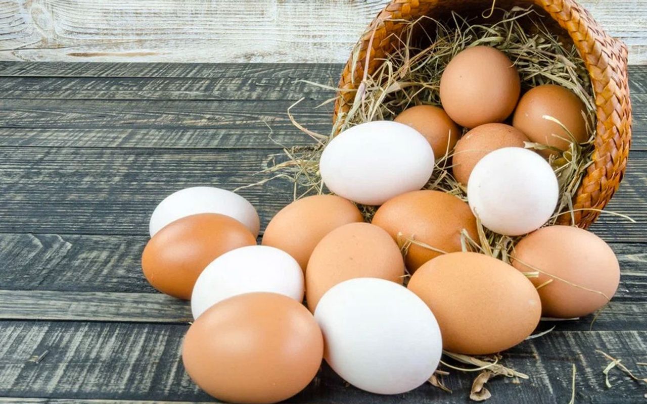 Yumurta fiyatlarına zam yağmuru - Kocaeli Son Dakika