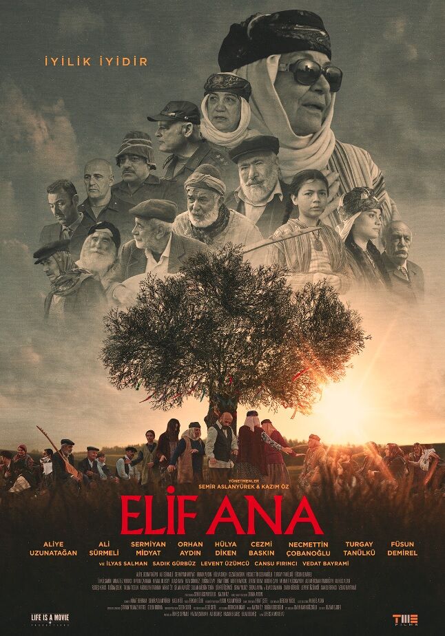 1670485511_ElifAna