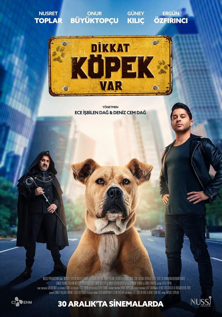 1672303878_DikkatKopekVar