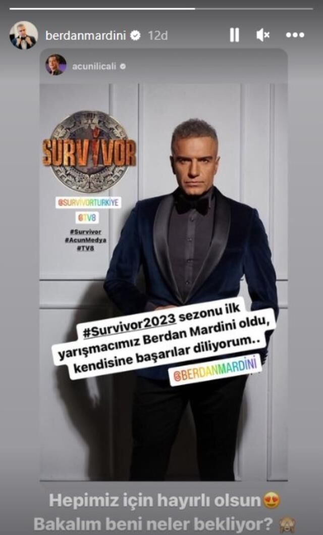 berdan mardini survivor