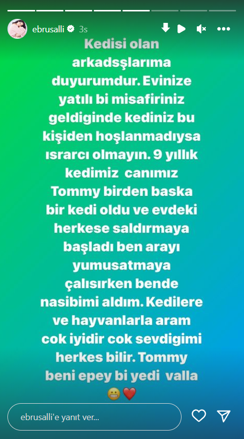 Ebru Şallı Kedi Saldırı 1