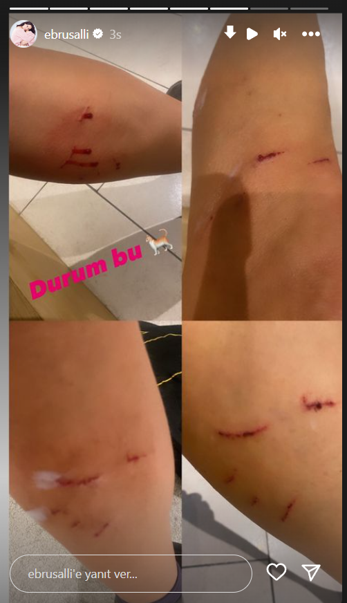 Ebru Şallı Kedi Saldırı 2