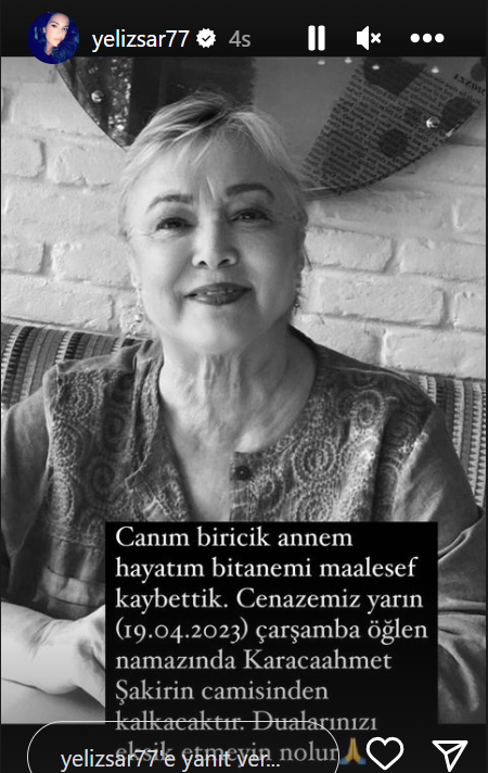 yeliz şar