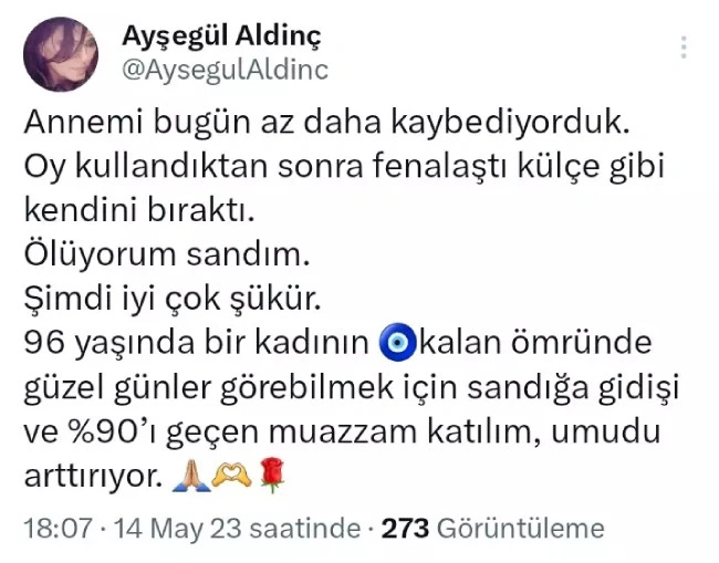 aysegul aldinc
