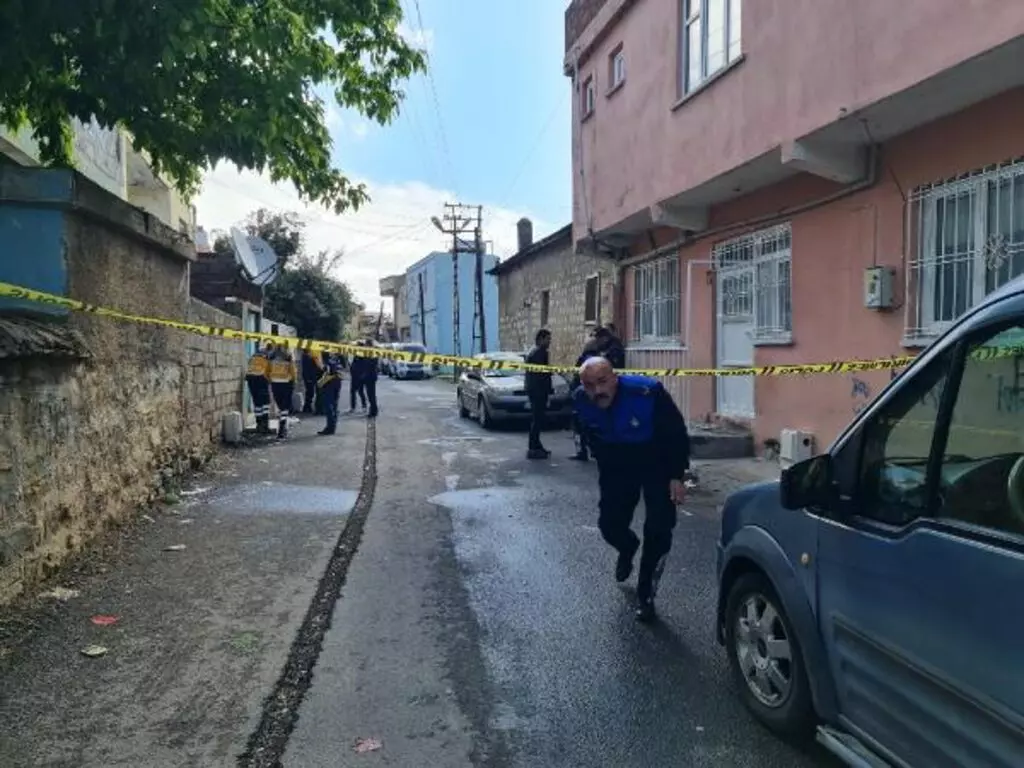 diyarbakır ergani 2