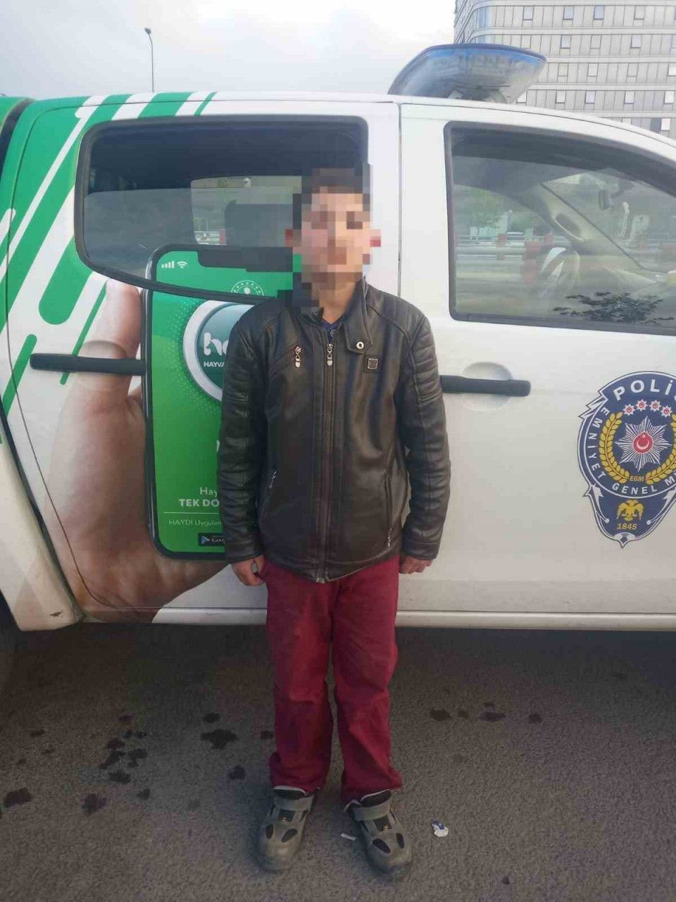 Kayseri Kedi ve Çocuk Mala 2