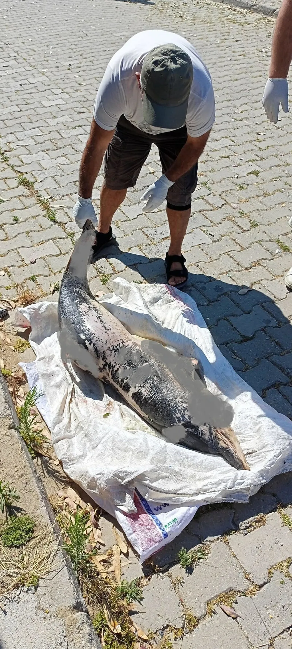 Aydın Yunus 1