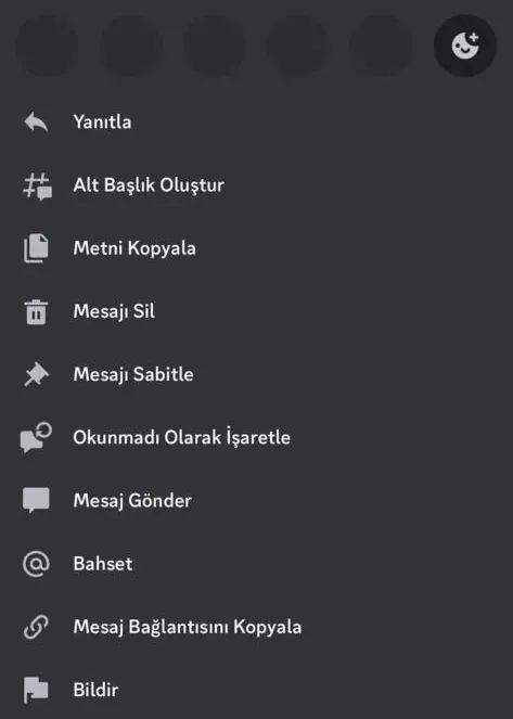 Discord Mesaj Silme 2