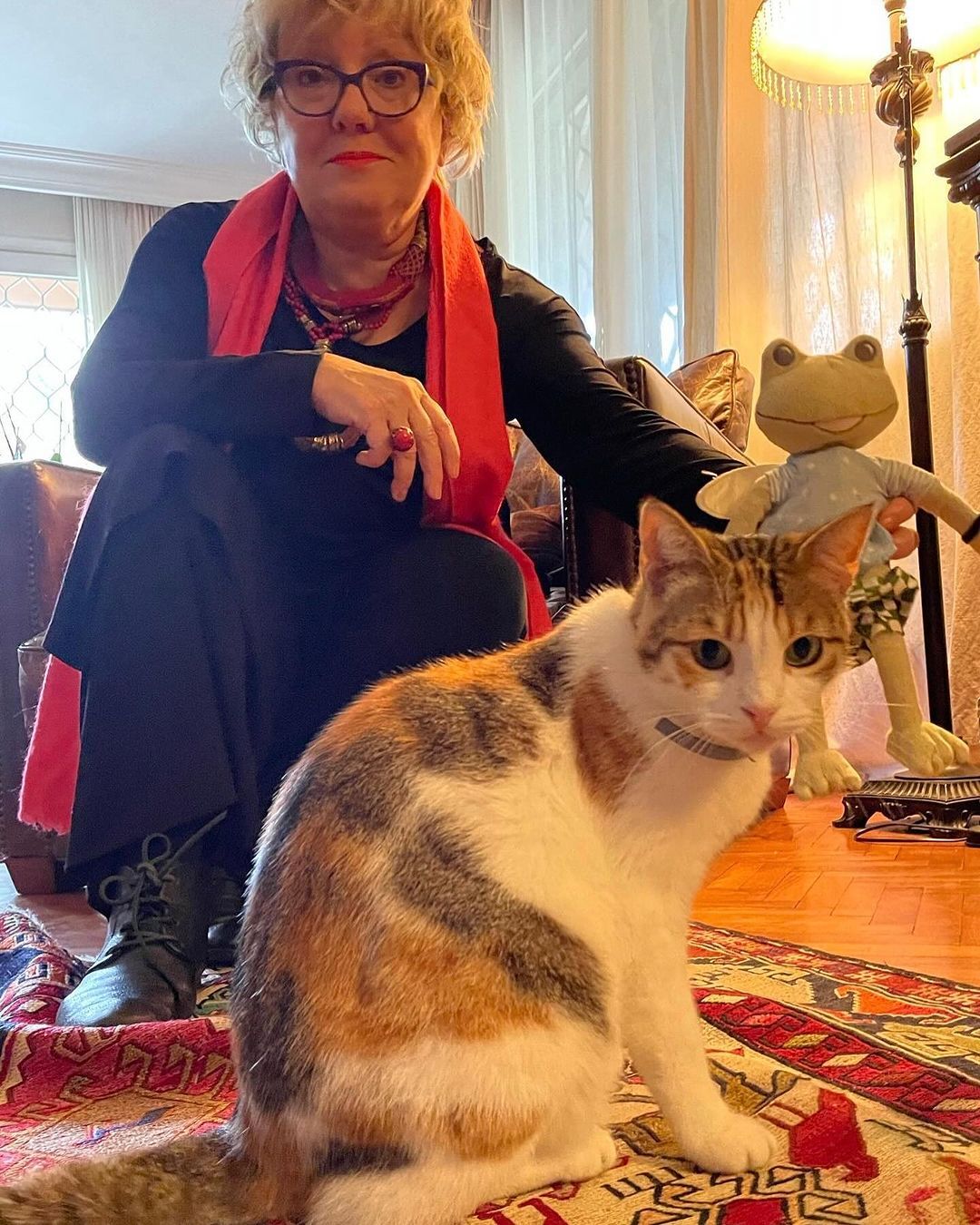 Ayşenil Şamlıoğlu