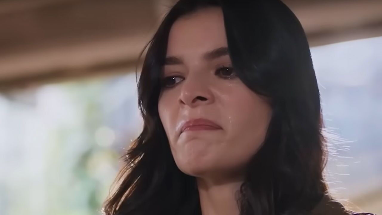 Hudutsuz Sevda Detay 2