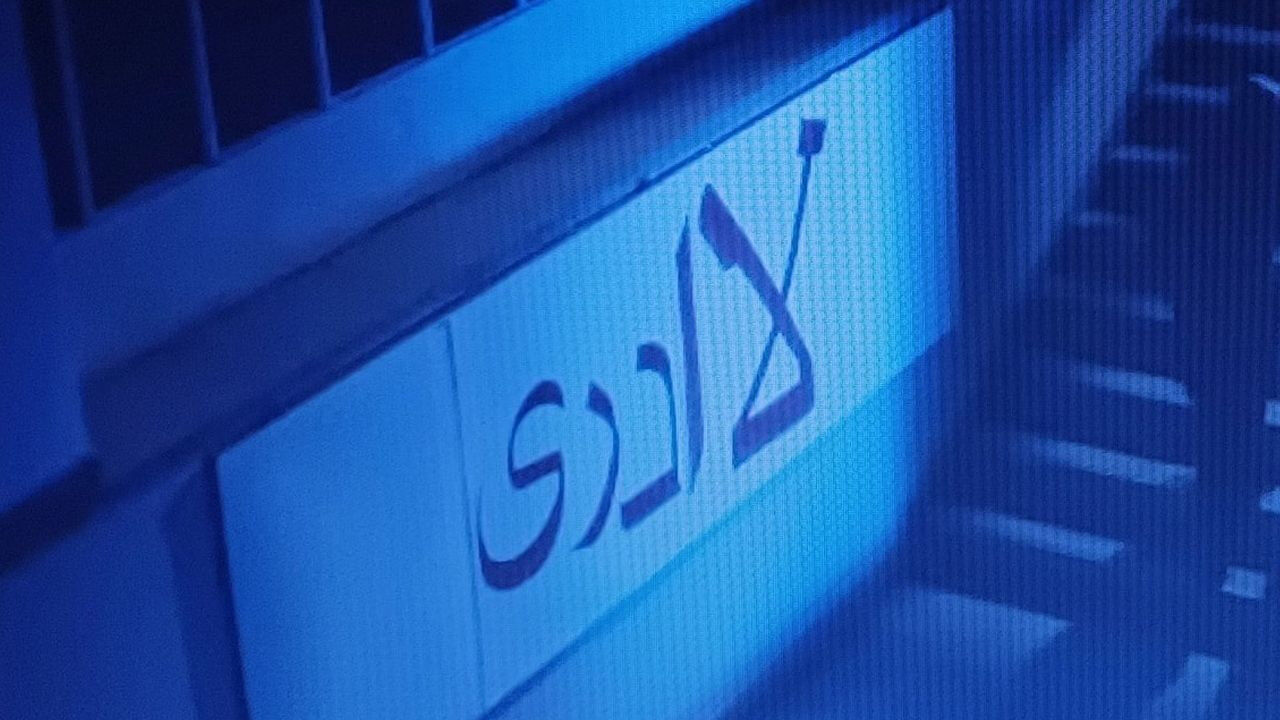 Kızıl Goncalar Dizisi Detay 17