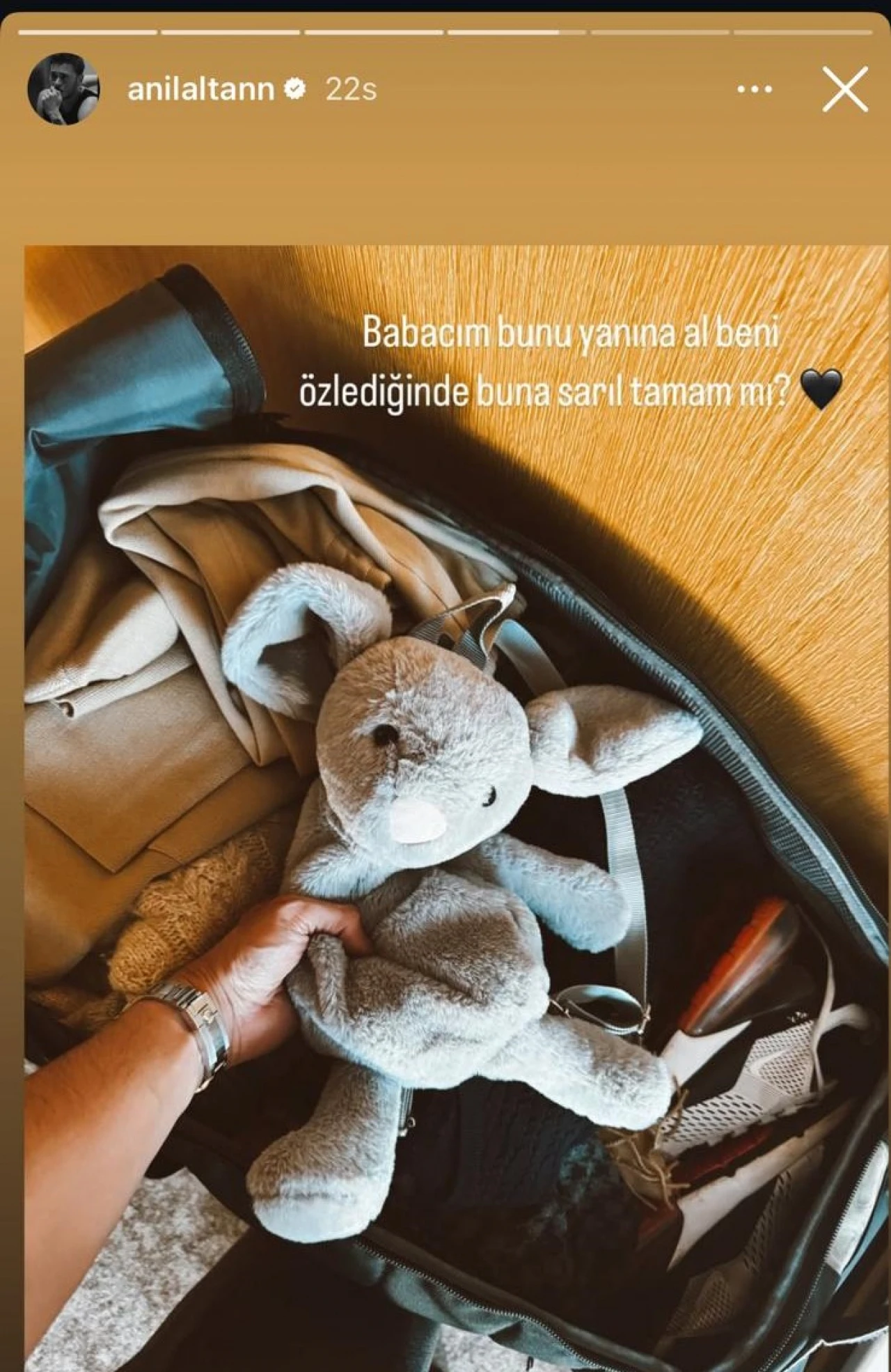 Pelin Akil Anıl Altan Boşanma