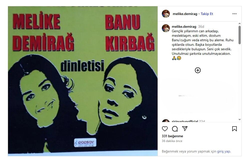 Banu Kırbağ