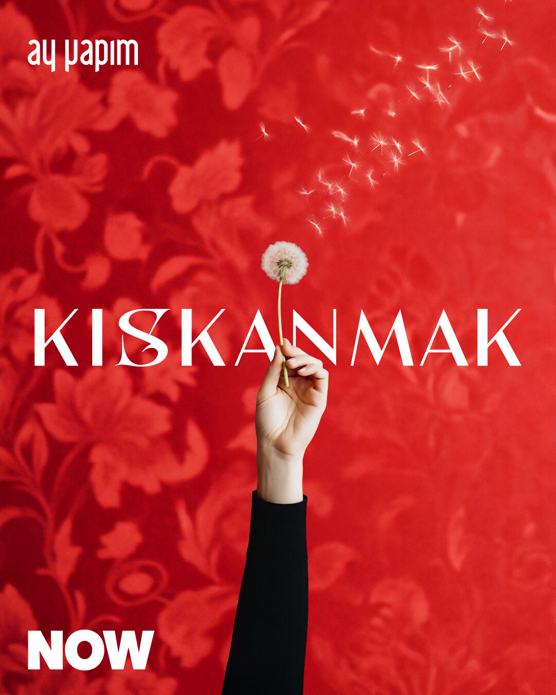Kıskanmak Dizisi (5)